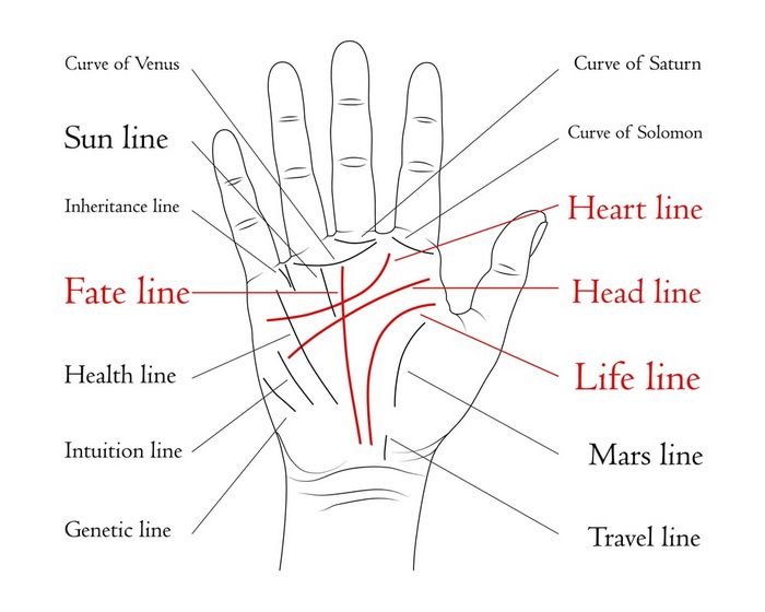 palm reading for female