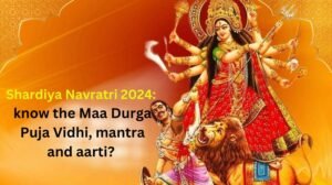 navratri maa durga puja​